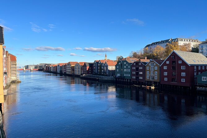 Half-Day Highlights of Trondheim by Bus and City Walk - What this Trondheim tour does well in three and a half hours
