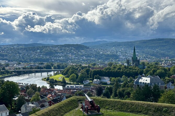 Half-Day Highlights of Trondheim by Bus and City Walk - Byåsen viewpoint: Trondheim from above