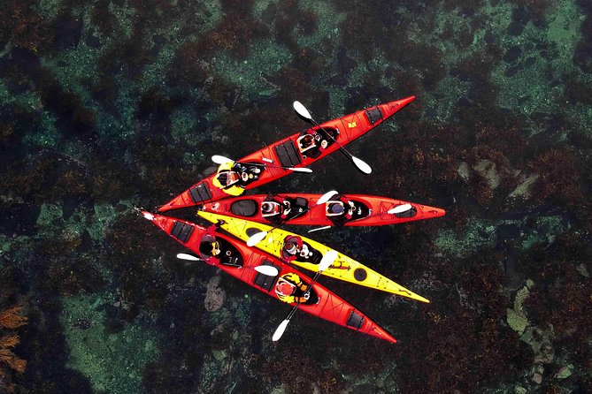 Half Day Kayak - Northern Explores AS - Key points before you book