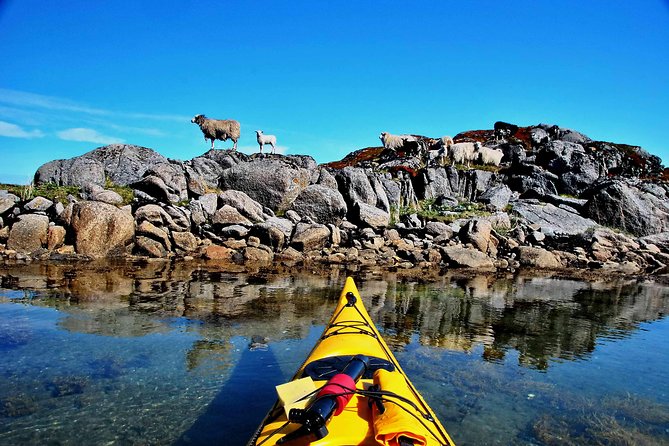 Half Day Kayak - Northern Explores AS - Practical details for a smoother morning or afternoon