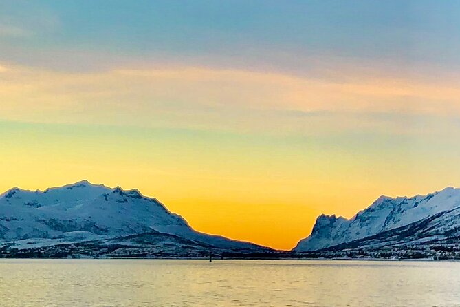 Half-Day Scenic Wildlife & Photographic Fjord Tour. - Photography help from Marianne and the other guides