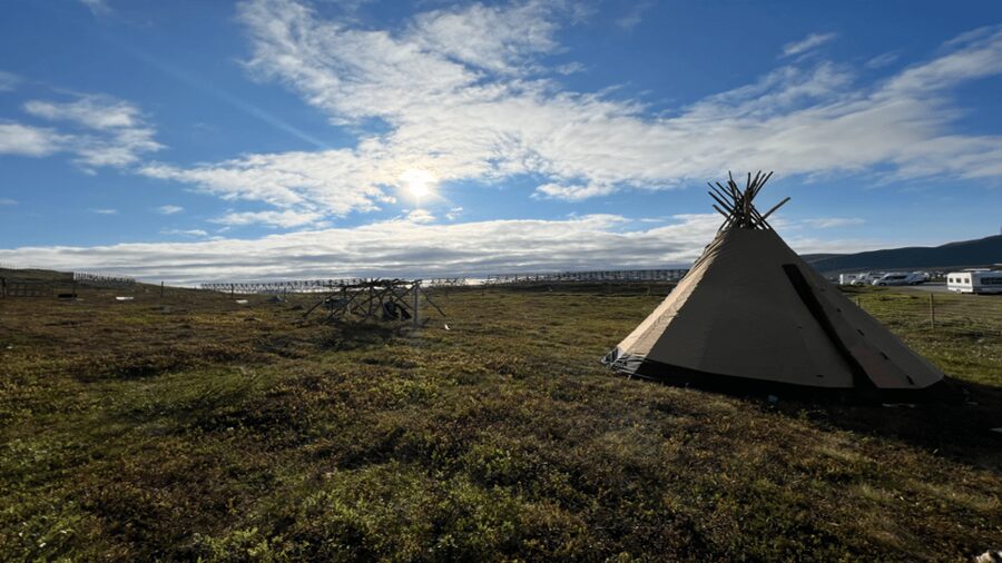 Hammerfest: Guided Tour - Meet Reindeer - Should you book the Hammerfest reindeer visit?