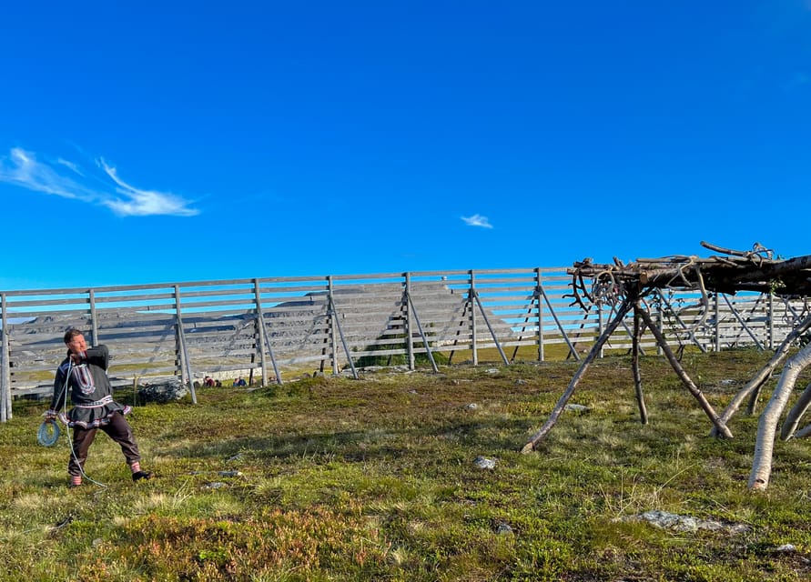 Hammerfest: Guided Tour - Meet Reindeer - Meeting reindeer on Salen Mountain