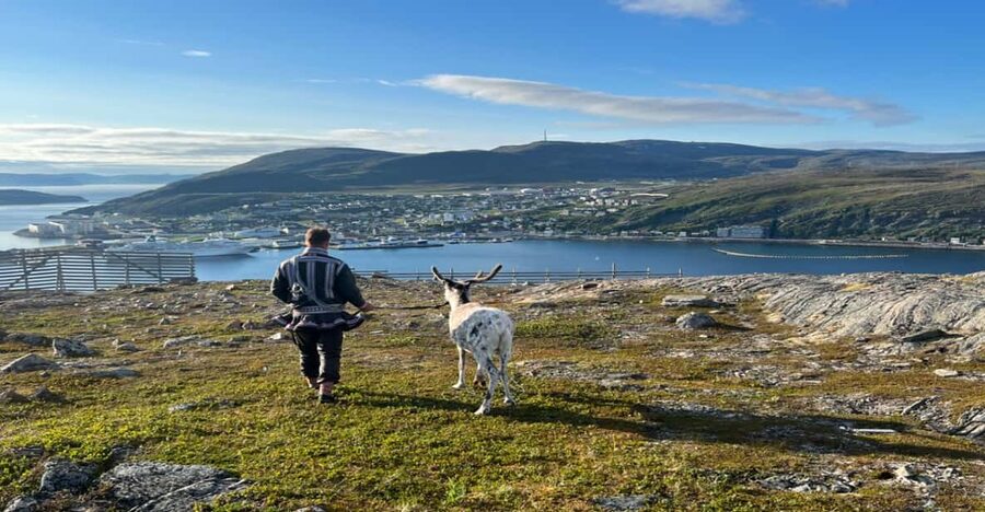 Hammerfest: Guided Tour - Meet Reindeer - Weather, clothing, and practical comfort