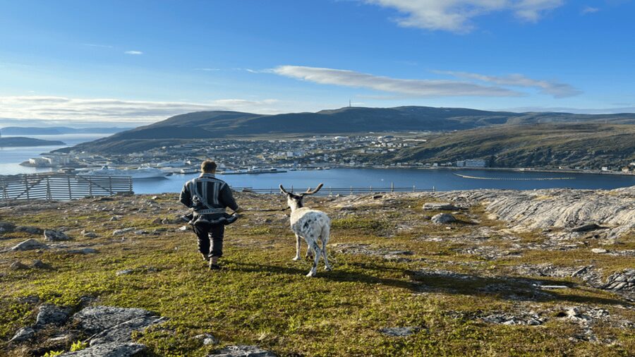 Hammerfest: Guided Tour - Meet Reindeer - Who will enjoy this experience most?