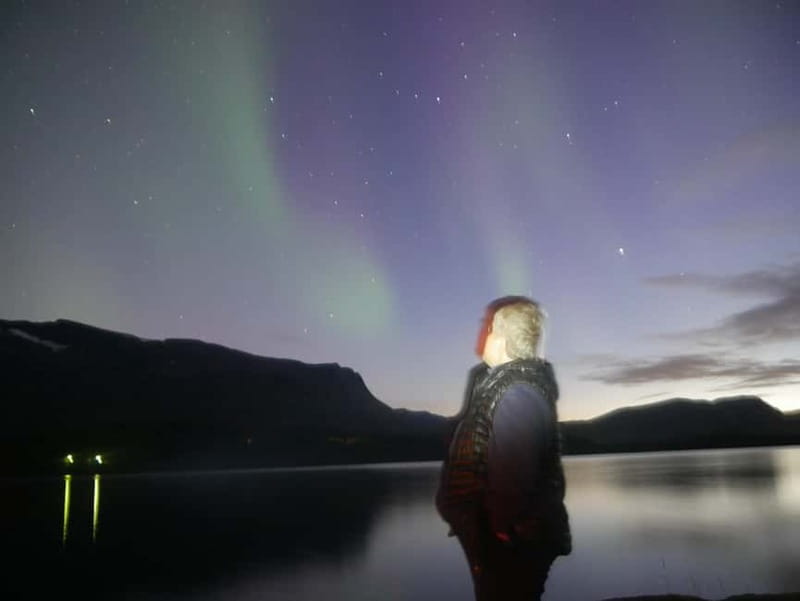 Harstad/Narvik/Tjeldsund: Northern Lights Sightseeing by Car - Warm-car comfort, fjords, and the long wait