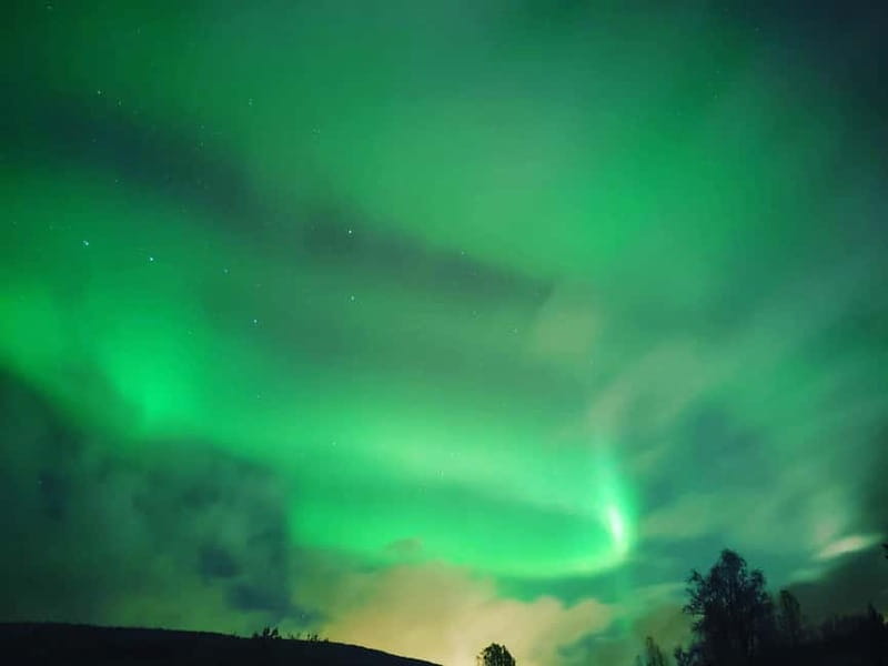 Harstad/Narvik/Tjeldsund: Northern Lights Sightseeing by Car - Wine, hot drinks, and the outdoor atmosphere