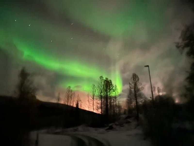 Harstad/Narvik/Tjeldsund: Northern Lights Sightseeing by Car - What the price includes at $215