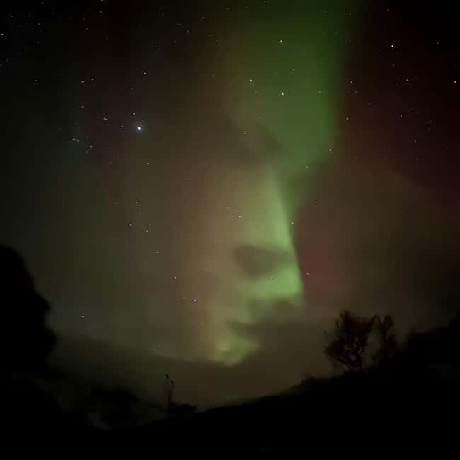 Harstad/Narvik/Tjeldsund: Northern Lights Sightseeing by Car - Timing, pickup, and practical details