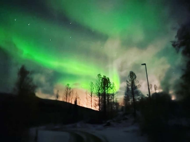 Harstad/Narvik/Tjeldsund: Northern Lights Sightseeing by Car - Daylight options before the sky turns dark