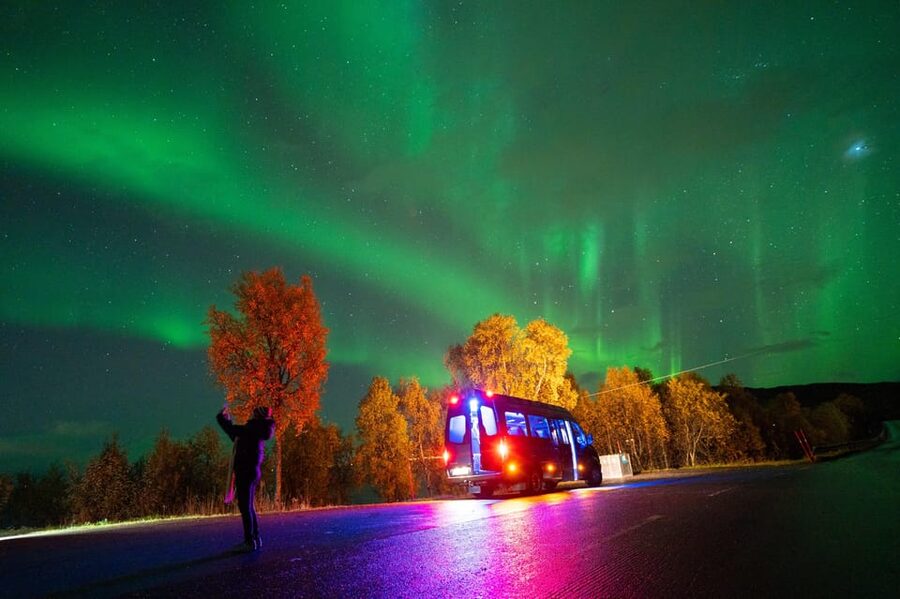 Harstad: Northern Lights Hunt on Hinnøya Island - Four hours of driving, waiting, and watching