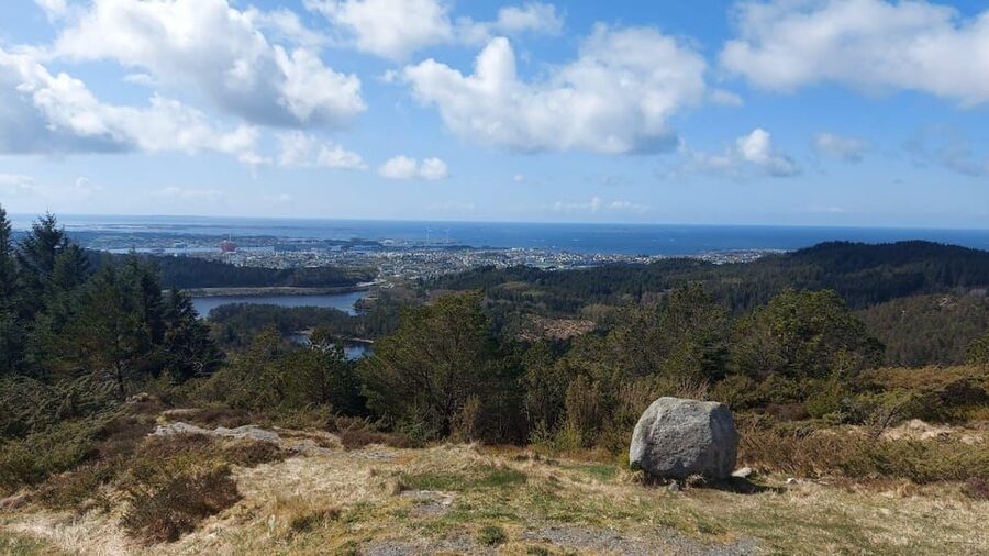 Haugesund: Guided Scenic Minibus tour of Haugesund - Why this short Haugesund tour works well from a cruise ship