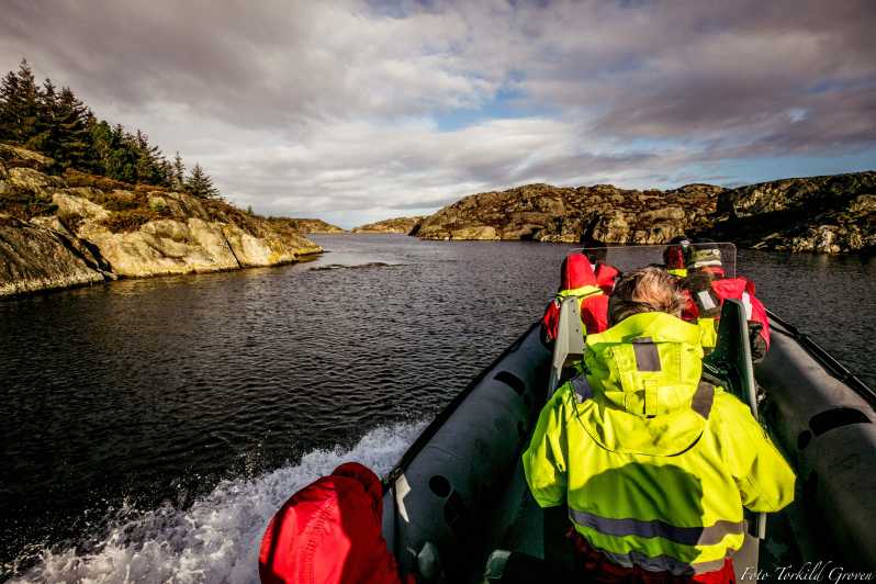 Haugesund: RIB Safari to the island communities - Key points to know before you book