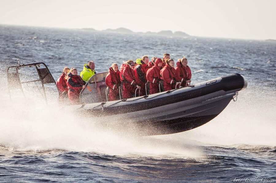 Haugesund: RIB Safari to the island communities - About an hour of driving in a two-hour tour