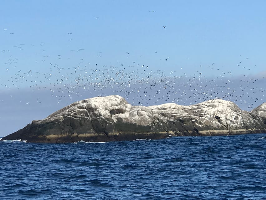 Honningsvåg: North Cape King Crab & Arctic Wildlife Safari - The Preserved Fishing Facility Near the Harbour