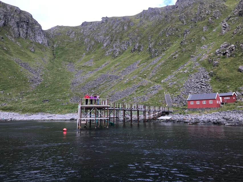 Honningsvåg: North Cape King Crab & Arctic Wildlife Safari - Should You Book It?