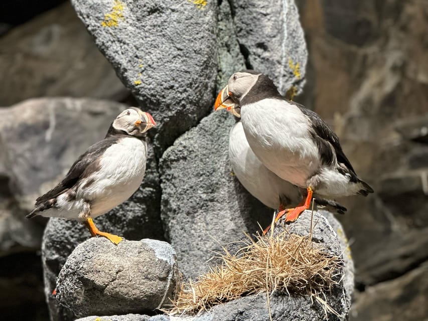 Honningsvåg: North Cape Summer Tour with Sami Family Visit - Who should book this North Cape tour?