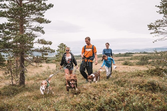 Husky Hike and Puppy Visit with Lunch - A Four-Hour Arctic Dog Experience Near Tromso
