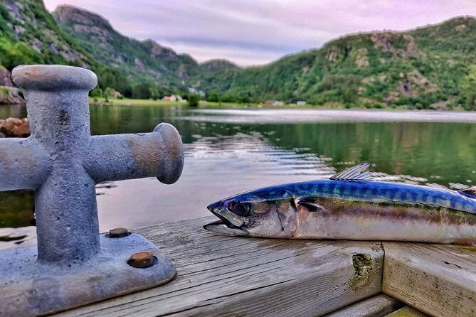 Inshore fishing in the Drangefjord - Key points about fishing the Drangefjord
