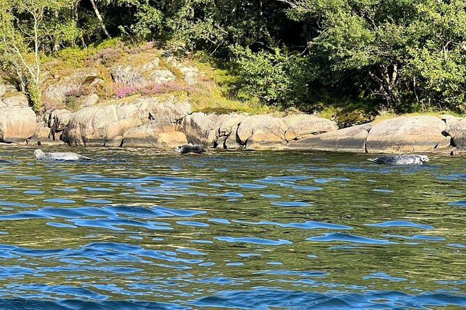 Inshore fishing in the Drangefjord - Who will enjoy this trip most?