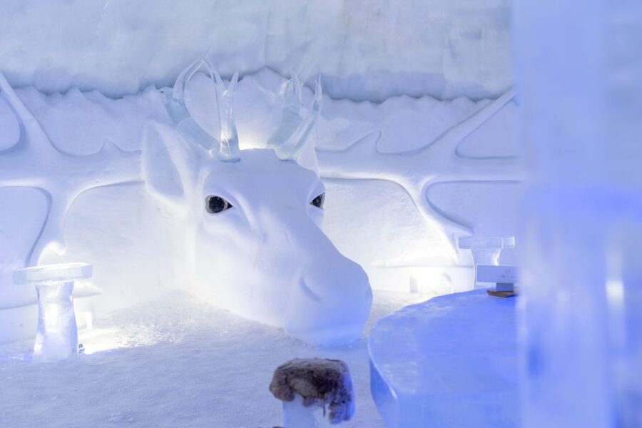 Kirkenes: Snowhotel Entrance Ticket - Key points at a glance