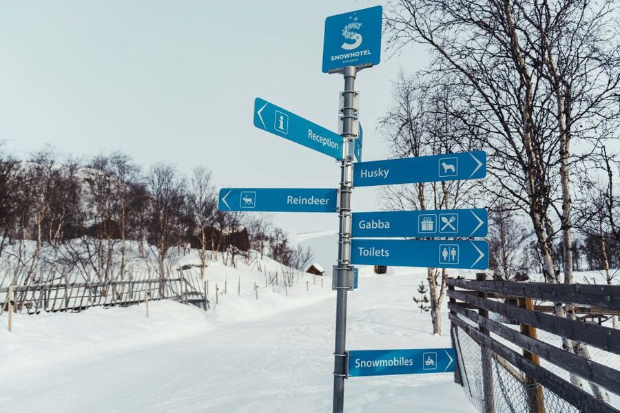 Kirkenes: Snowhotel Entrance Ticket - Starting with reindeer and Alaskan huskies