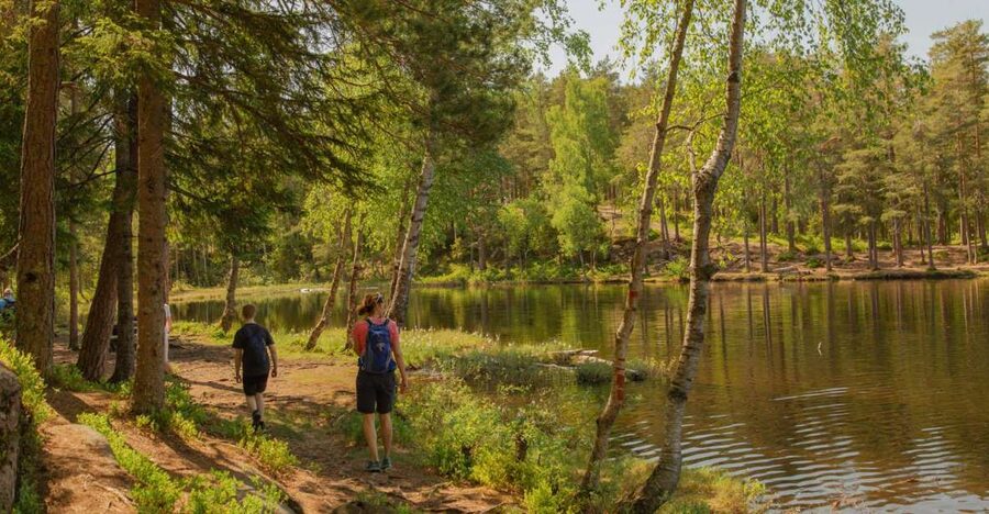 Lake walk and campfire - Key points to know