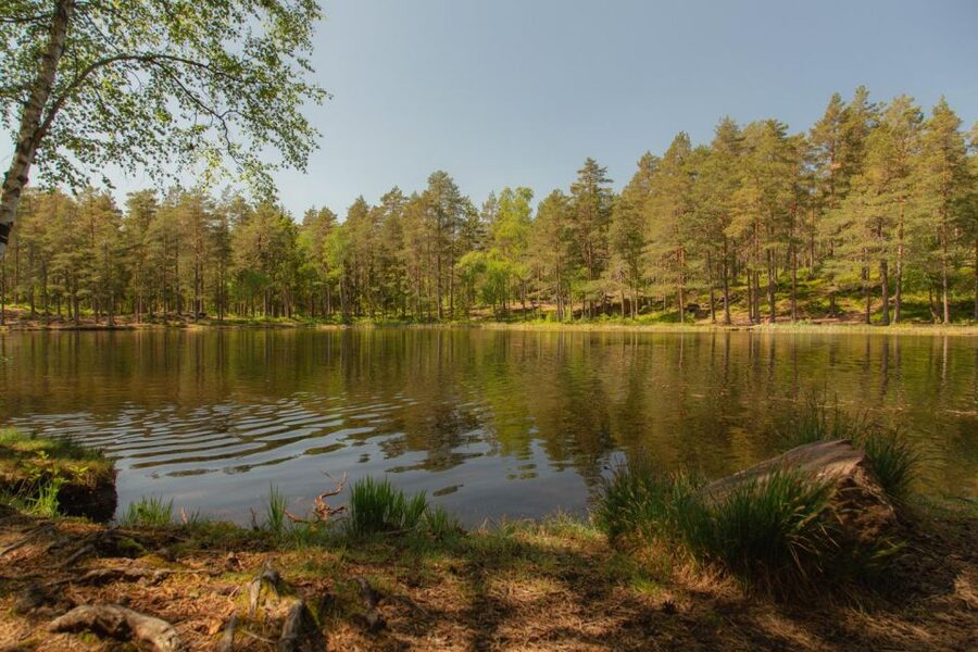 Lake walk and campfire - Why Sognsvann makes a good Oslo outing