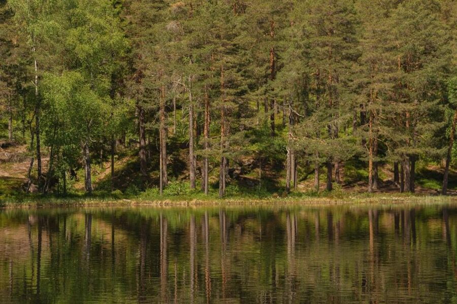Lake walk and campfire - A 2-kilometer walk around Sognsvann