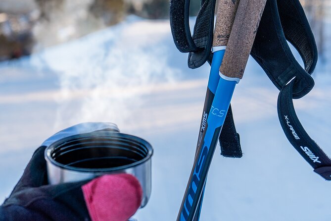 Learn Nordic Skiing - Private Class with Professional Instructor - The pace and physical effort