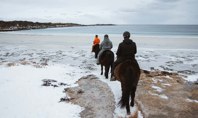 Lofoten: Guided Horse Riding Tour Over Hov and Hovsund - Who will enjoy this coastal horseback ride