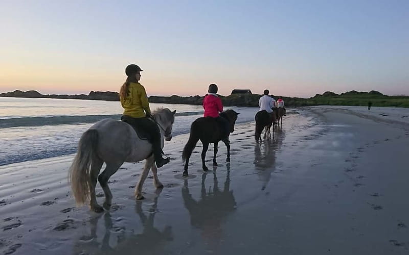 Lofoten: Guided Horse Riding Tour Over Hov and Hovsund - Booking and cancellation details