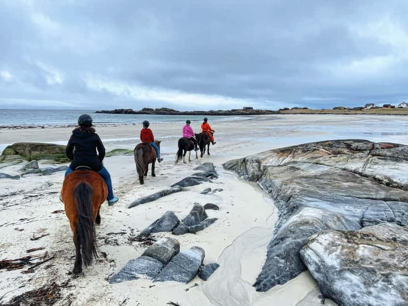 Lofoten: Guided Horse Riding Tour Over Hov and Hovsund - Hov beach at a slow, steady pace