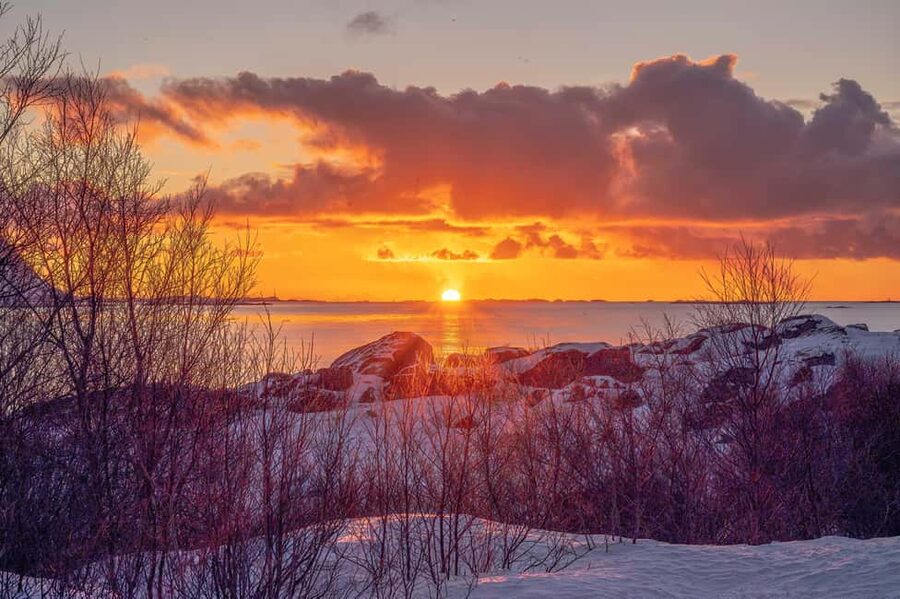 Lofoten: Half-Day Guided Tour with Photo Stops - Value, timing, and what the half-day really means