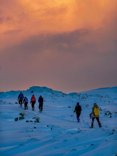 Lofoten: Half Day Snowshoe Tour - Meeting your guide near Eggum