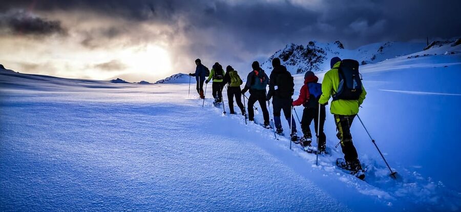 Lofoten: Half Day Snowshoe Tour - Reading animal tracks in the snow