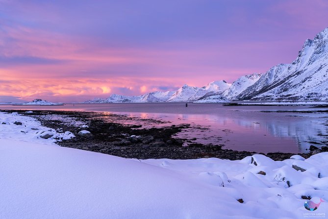 Lofoten Highlights Photo Tour - Henningsvær & Haukland - Why this Lofoten photo tour works well