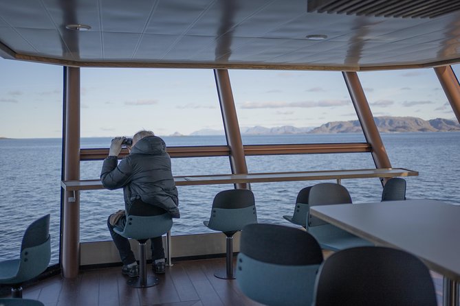 Lofoten Island: Silent Trollfjord Cruise from Svolvær - How much value do you get for $144.34?