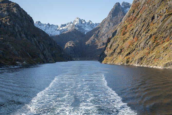 Lofoten Island: Silent Trollfjord Cruise from Svolvær - Should you book the Svolvær Trollfjord cruise?