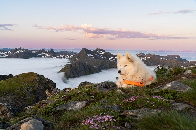 Lofoten Islands: Hiking Into the Wilderness - Clothing and Food Matter More Than You Might Expect