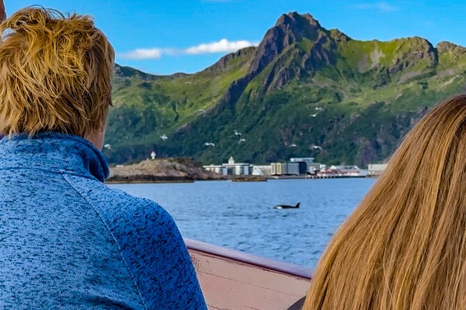 Lofoten Islands Private Midnight Sun Yacht Cruise from Svolvær - Setting Out from Svolvær at 5:30 pm