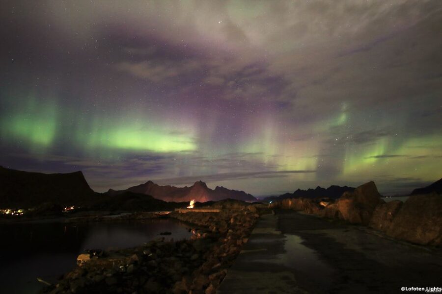 Lofoten: Northern Lights Tour with Photographer - Key points to know before booking