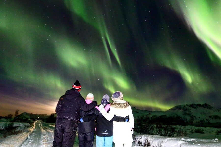 Lofoten: Northern Lights Tour with Photographer - Warm drinks help, but dress for the Arctic