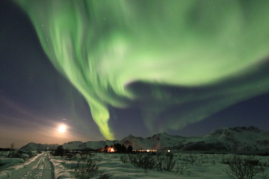Lofoten: Northern Lights Tour with Photographer - How the $152 price compares with the experience