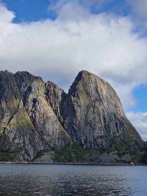 Lofoten: Reine, Hamnøy, and Skariskøya Photo Tour - Lunch at Anita Seafood