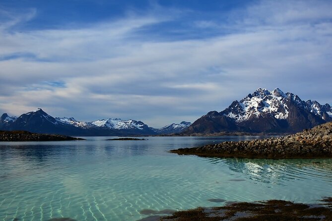 Lofoten RIB Sea Eagle Safari and Trollfjord Cruise - What the guide adds to the trip