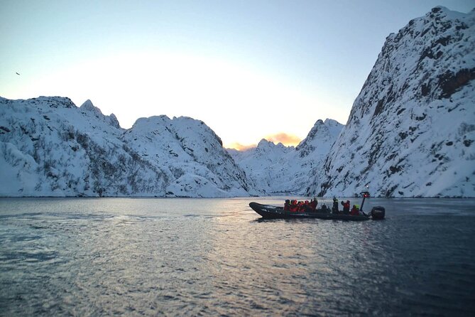 Lofoten RIB Sea Eagle Safari and Trollfjord Cruise - Is the price fair at $128.94?