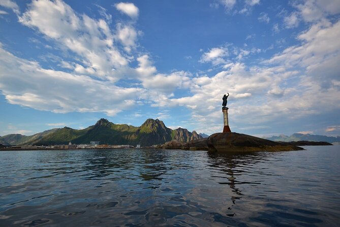 Lofoten RIB Sea Eagle Safari and Trollfjord Cruise - Practical details before you reserve
