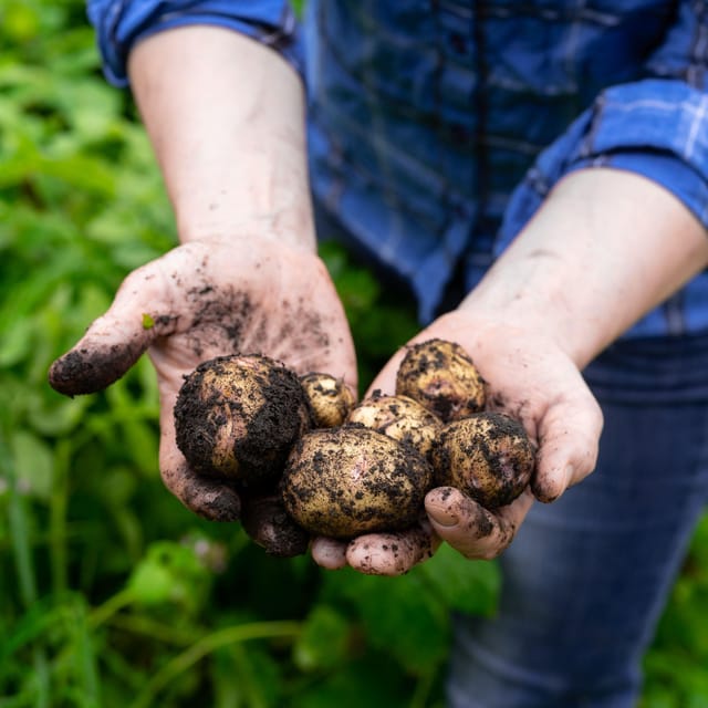Lofoten (Stamsund and Leknes): Aimees Farm Experience - Who will enjoy this farm experience