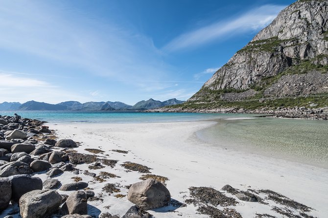 Lofoten Summer Panoramic Tour - Five hours, not a leisurely full day